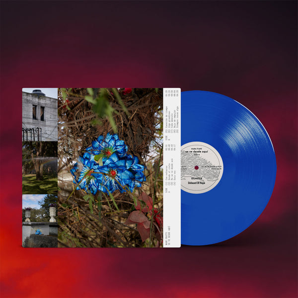 Fratti, Mabe - Se Ve Desde Aquí [BLUE VINYL IMPORT] – New LP