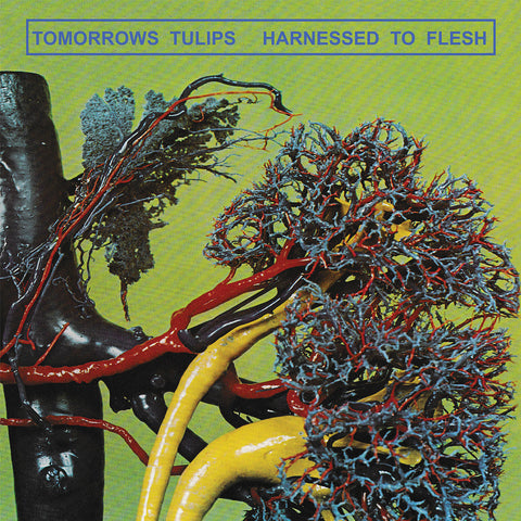 Tomorrows Tulips ‎– Harnessed To Flesh – Used LP