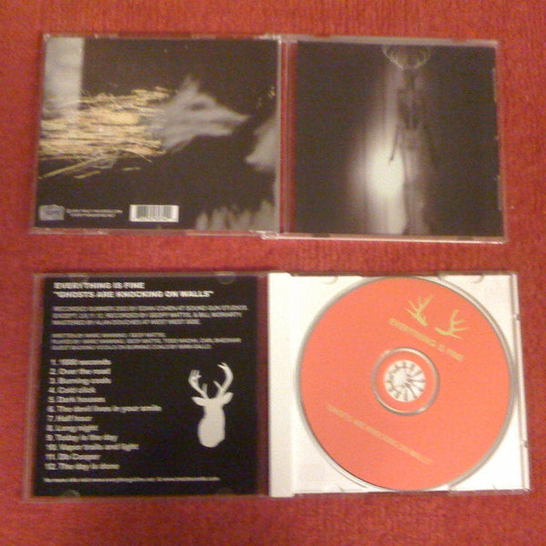 Everything Is Fine – Ghosts are knocking on walls – New CD