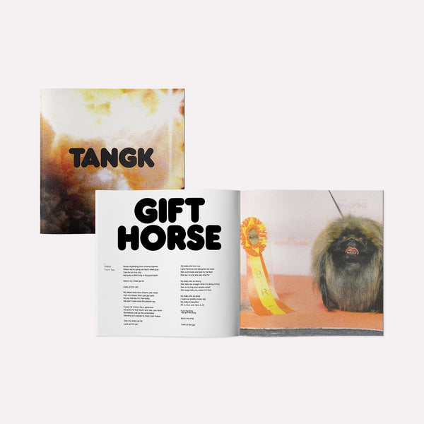 Idles – Tangk [DELUXE Yellow Vinyl] – New LP