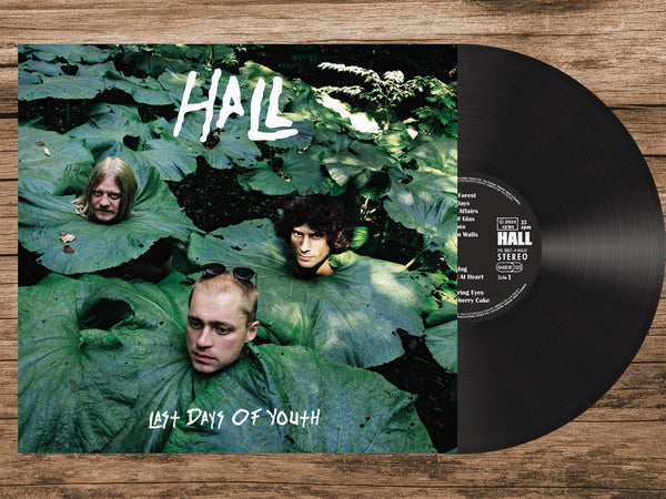 Hall - Last Days of Youth [IMPORT] – New LP