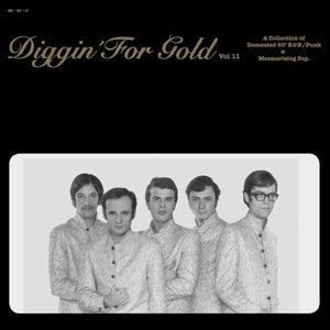 Various Artists - Diggin' For Gold Vol. 11: A Collection Of Demented 60s' R&B/Punk & Mesmerizing Pop [IMPORT] – New LP