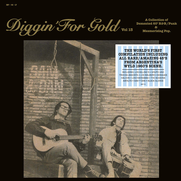 Various Artists - Diggin' For Gold Vol. 13: A Collection Of Demented 60s' R&B/Punk & Mesmerizing Pop [IMPORT] – New LP