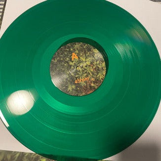 Ovlov – Buds [GREEN VINYL] - New LP
