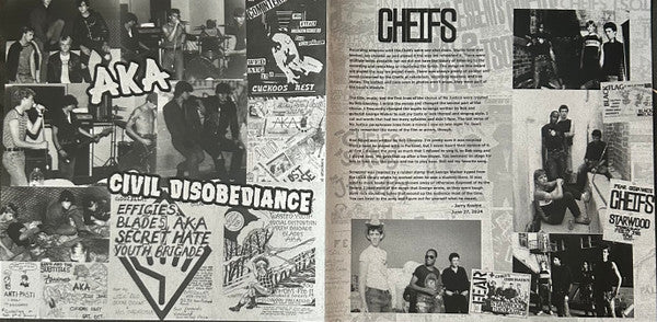 Various Artists - Who Cares [1981 California PUNK!!!] - New LP