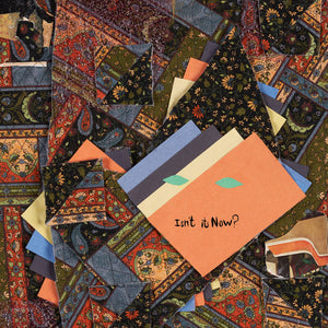 Animal Collective – Isn't It Now? [Tangerine VINYL 2xLP] – New LP