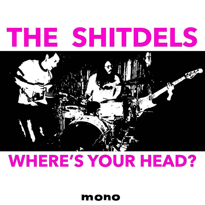 Shitdels –  Where's Your Head?  [AQUAMARINE VINYL] – New LP