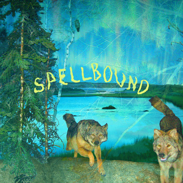 Boyscott - Spellbound [Green/Blue Aurora Vinyl] - New LP