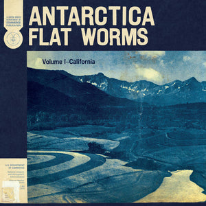Flat Worms - Antarctica - New LP