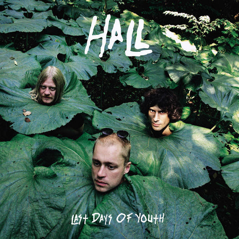 Hall - Last Days of Youth [IMPORT] – New LP