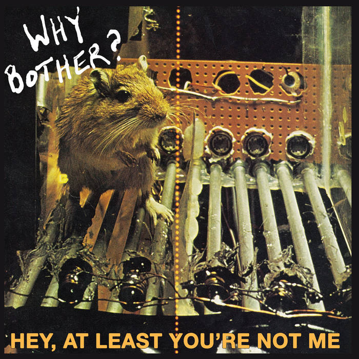 Why Bother? – Hey, At Least You're Not Me – New LP