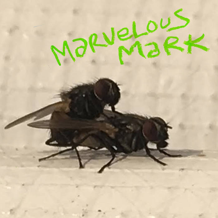 Marvelous Mark – Buzzin'  [IMPORT] – New LP