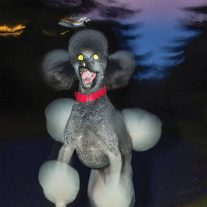 Hit Bargain / A DOG A DEER A SEAL [PINK VINYL] - New LP