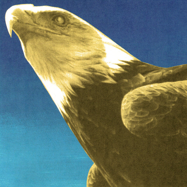 Protomartyr – Hotel Usona [GOLD Vinyl w/ zine + poster IMPORT] – New LP