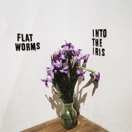Flat Worms - Into The Iris - New 12"
