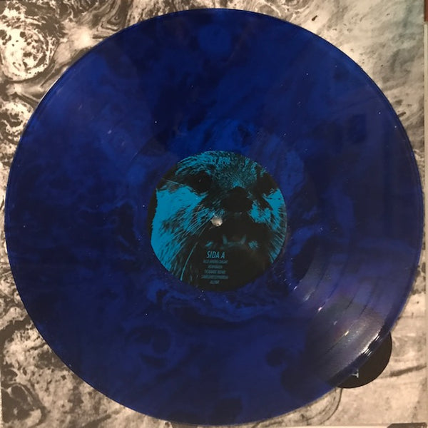 Vanna Inget - Allvar [BLUE VINYL] – New LP