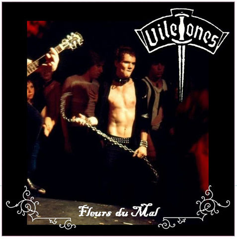 Viletones ‎– Fleurs du Mal [TORONTO PUNK 1977] – New LP