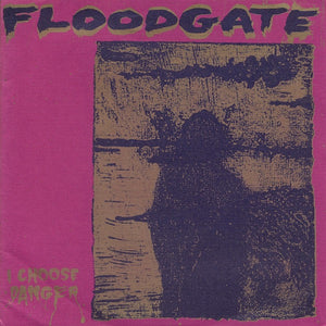 Floodgate – I Choose Danger - Used 7"