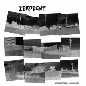 Zerodent - Landscapes of Merriment [IMPORT] GRAY VINYL - New LP