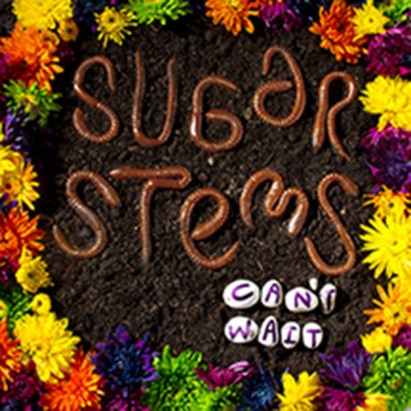Sugar Stems - Can't Wait - New LP