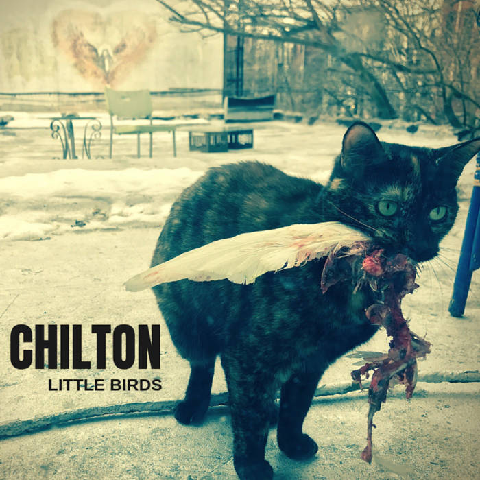 Chilton - Little Birds - New LP