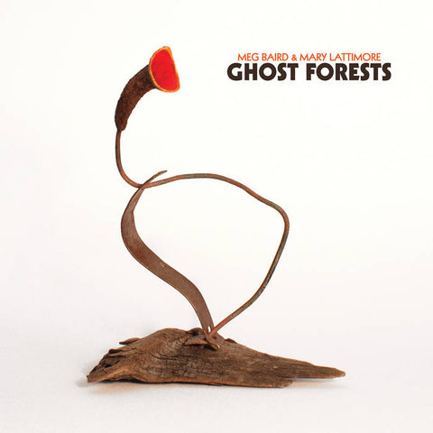 Meg Baird and Mary Lattimore - Ghost Forests [Coke Bottle Vinyl] – New LP