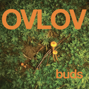 Ovlov – Buds [GREEN VINYL] - New LP
