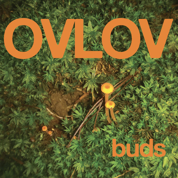 Ovlov – Buds [GREEN VINYL] - New LP