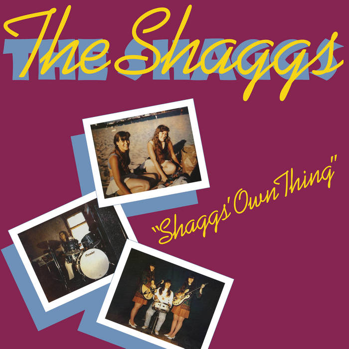 Shaggs, The - Shagg's Own Thing [YELLOW/MAROON SWIRL vinyl] – New LP