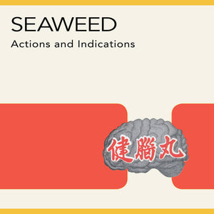 Seaweed –  Actions and Indications –  New LP