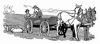 Headcheese –  Expired – New LP