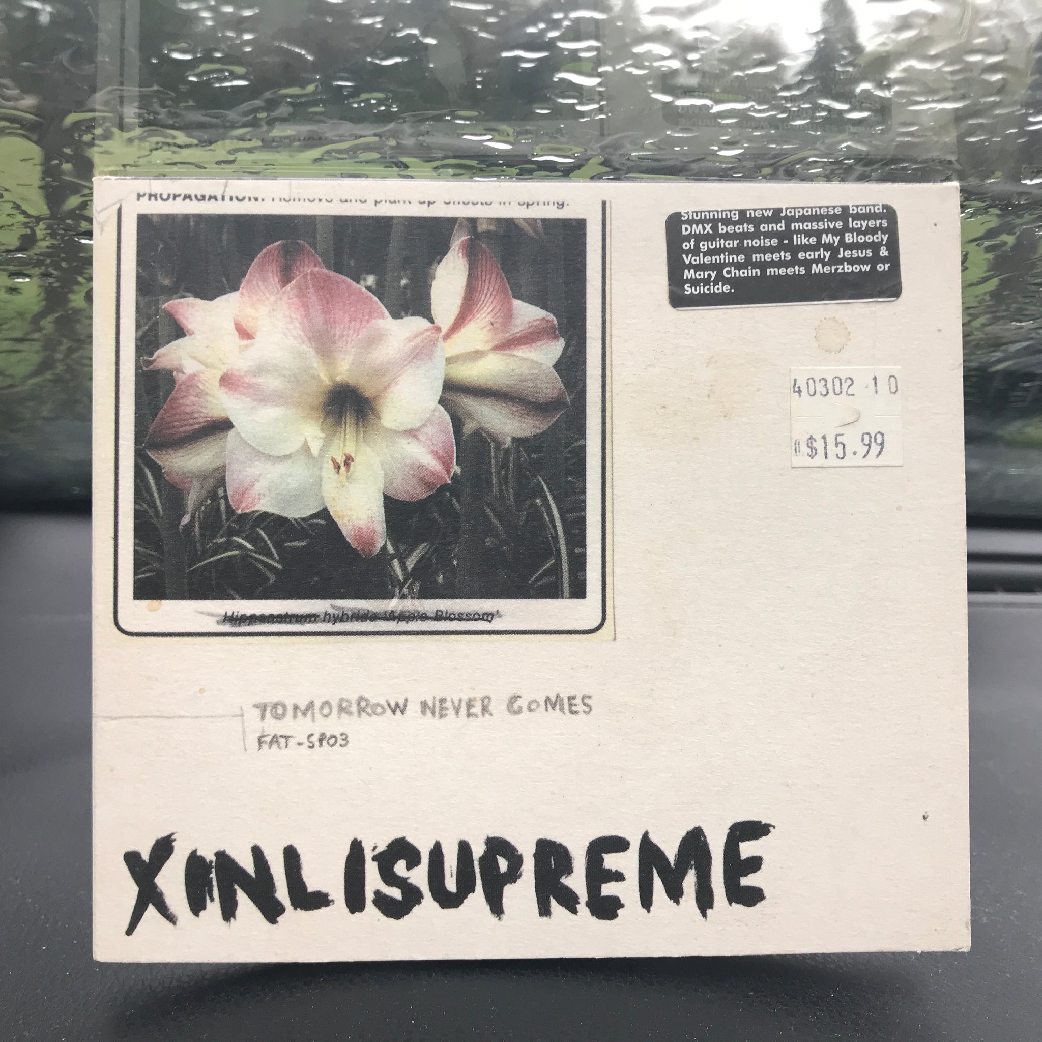 Xinlisupreme – Tomorrow Never Comes - Used CD